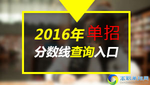  2021年四川职业技术学院高职单独招生分数线